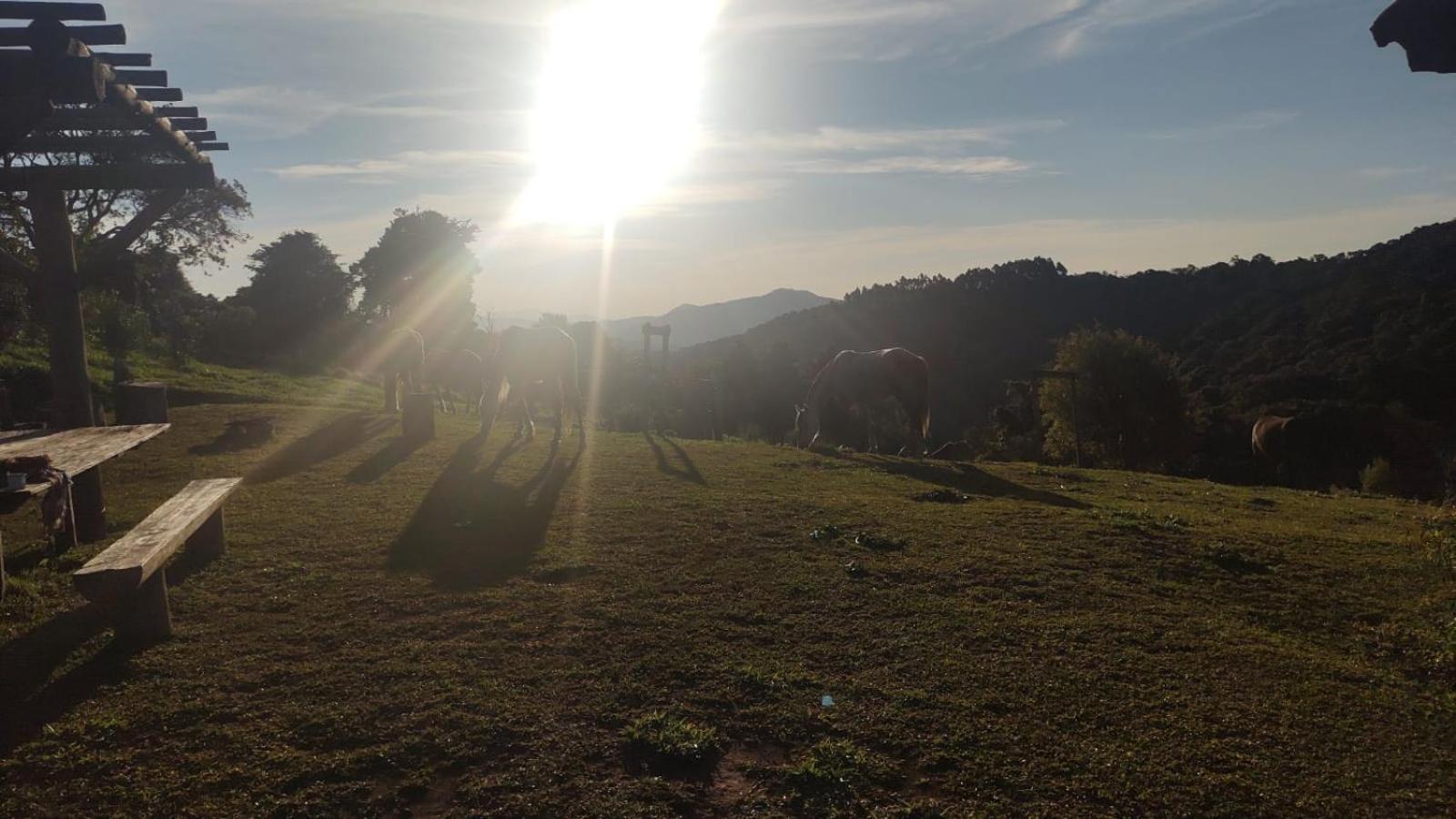 Montanha