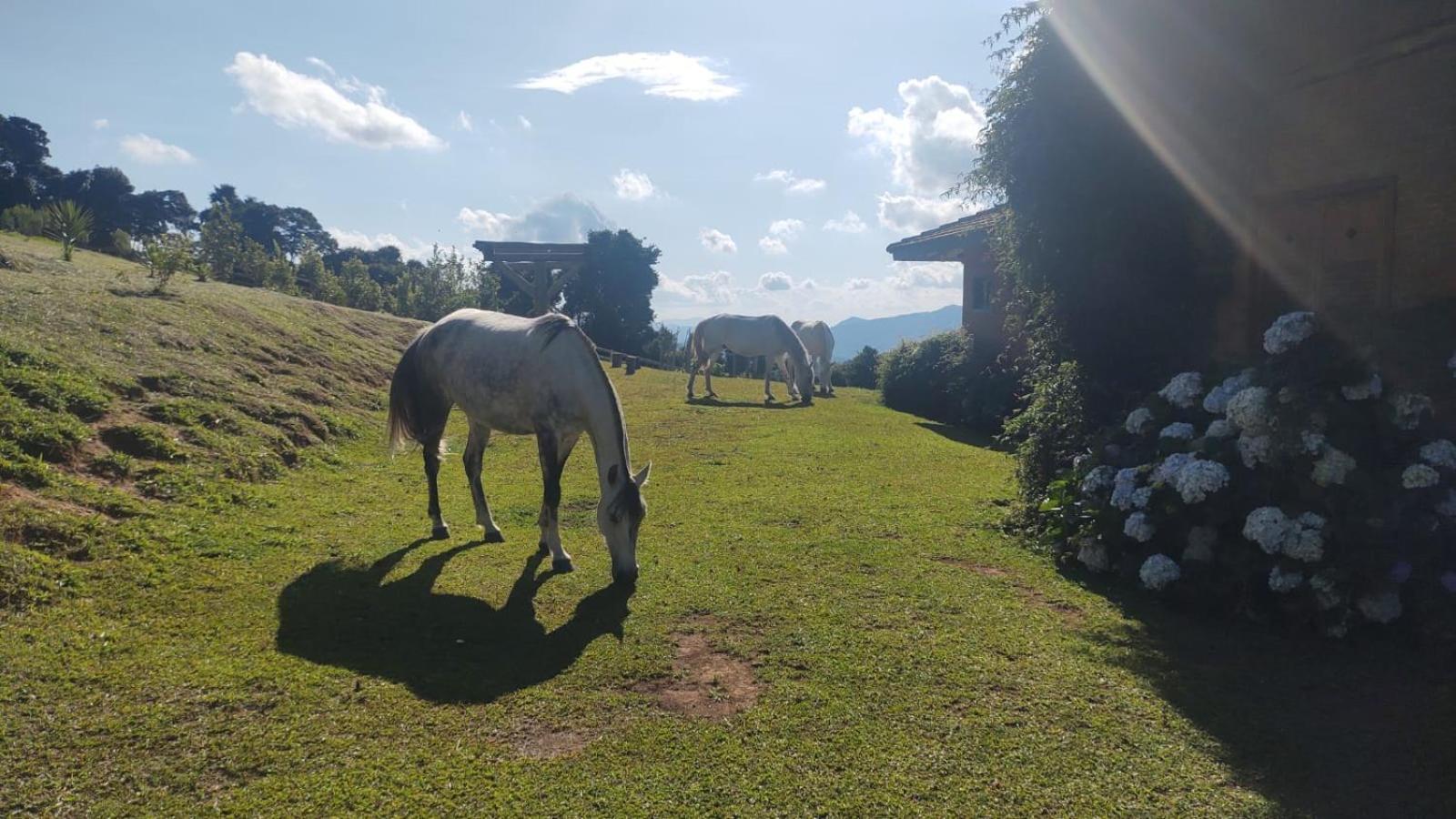 Country house Montanha *